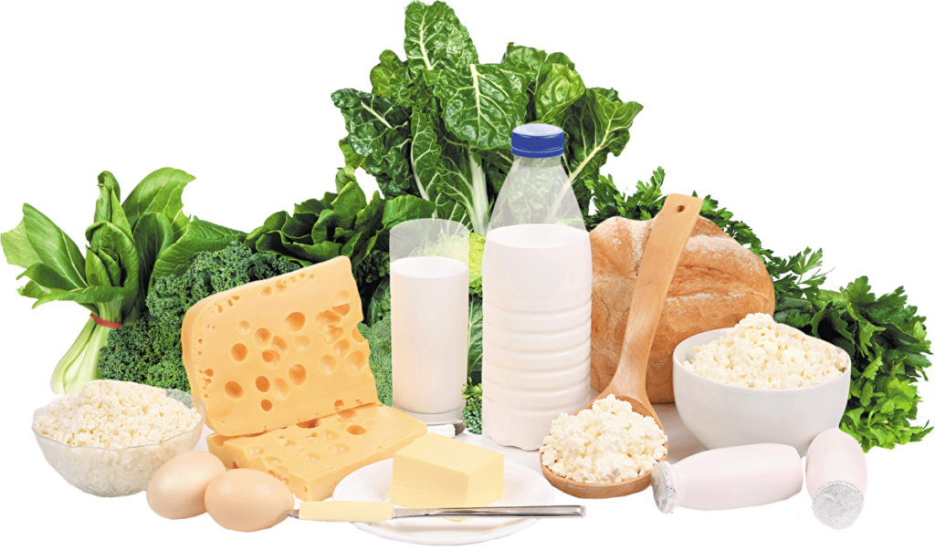 dairy-nutrition-market